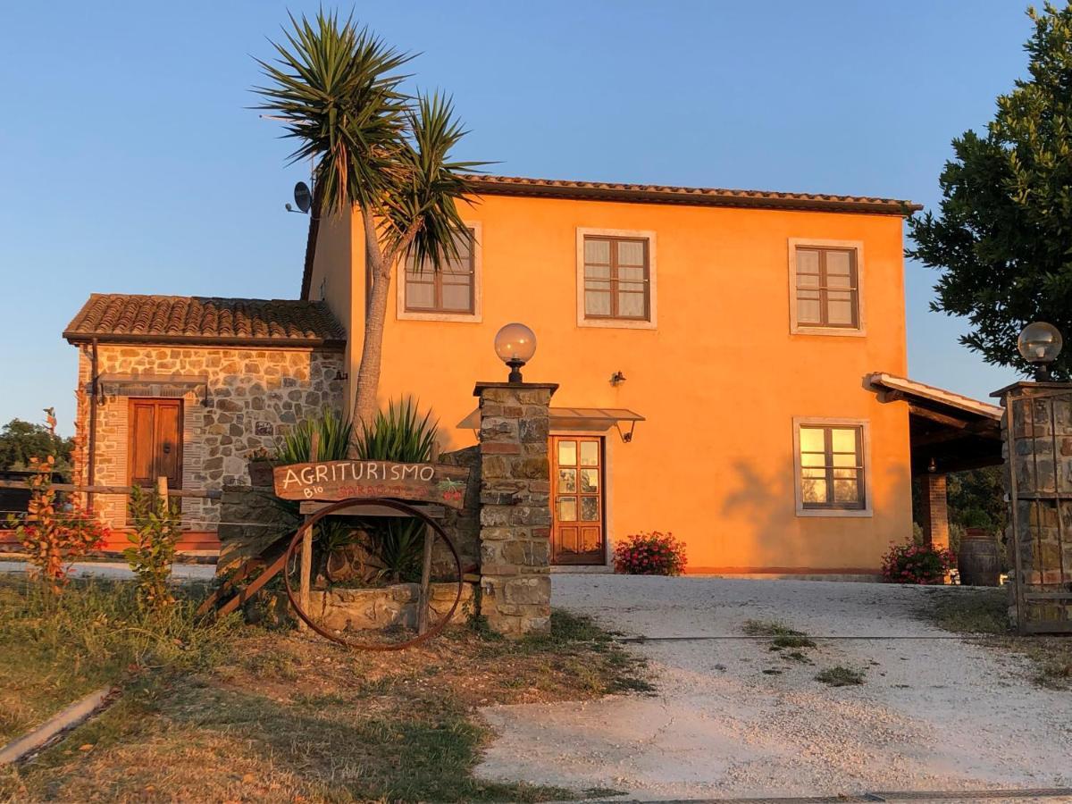 Agriturismo Il Saragiolo Vila Montemerano Exterior foto